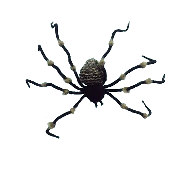 SPIDER - GIANT CARPET SPIDER - 1.2M