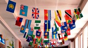 BUNTING - INTERNATIONAL STRING OF FLAGS - 4M LONG