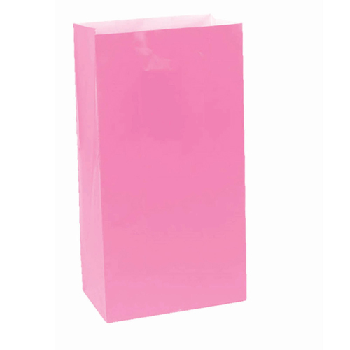 PAPER LOOT BAGS - BRIGHT PINK - PACK OF 12