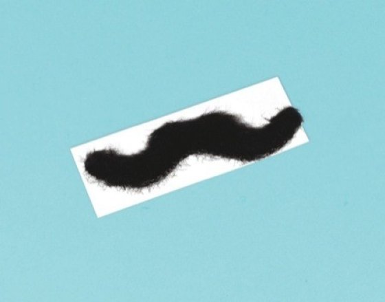 MOUSTACHES - WESTERN PACK OF 12