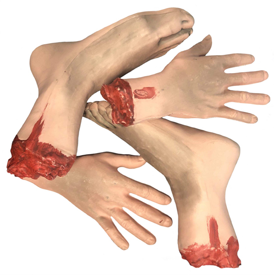 SEVERED BLOODY HANDS & FEET PACK