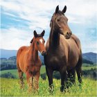 WILD HORSES LUNCH NAPKINS - PACK OF 8