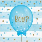 BABY REVEAL BOY OR GIRL COCKTAIL NAPKINS - PACK 16