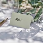 PLACECARDS SAGE COLOUR - PACK OF 10