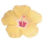 HIBISCUS FLOWER PARTY NAPKINS - PACK OF 16