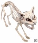 SKELETON MEOWING CAT WITH LIGHT UP EYES